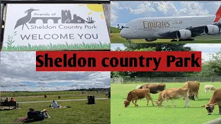 Sheldon country Park Birmingham | plane spotting |Birmingham Vlog | picnic with family |