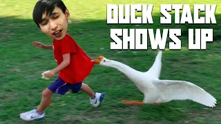 DUCK STACK SHOWS UP (SingSing Dota 2 Highlights #1663)