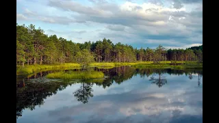 Kõrvemaa, Estonia (4K video)