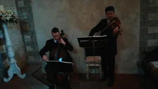 Florence Art Ensemble String Duo Memory