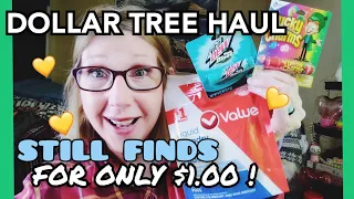 DOLLAR TREE HAUL | NEW | AMAZING FINDS | BRAND NAME ITEMS | WOW