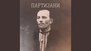 Партизани