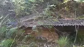 Yackandandah stone hut