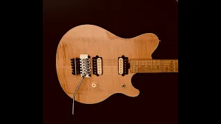 Ernie Ball Music Man Van Halen Guitars