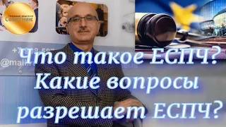 Что такое ЕСПЧ? Какие вопросы разрешает Европейский суд по правам человека?