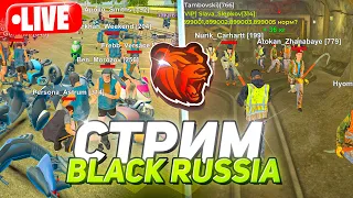 ОТКРЫТИЕ НОВОГО СЕРВЕРА БЛЕК РАША! СТРИМ ОТКРЫТИЕ BLACK RUSSIA