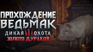 Прохождение The Witcher 3: Wild Hunt | Часть 15 | Золото Дураков | Next Gen Update