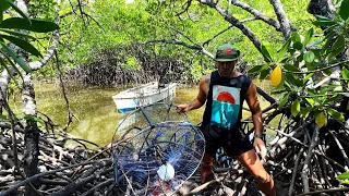 Hunting Mud Crabs In The Deepest Mangroves I've Experienced (Catch & cook)