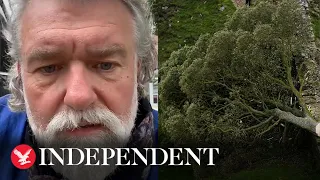 Hairy Bikers say Sycamore Gap tree culprit 'murdered spirit of Northumberland'