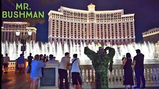 Mr. Bushman Prank ☆ Roaming the Las Vegas Strip ☆ The Best of May 27th Bushman Pranks