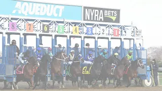 Aqueduct Simulcasting - February 11, 2023