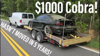 I Bought The Cheapest Cobra in the Country! Drift Build EP: 1