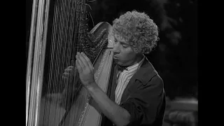 Marx Brothers | Animal Crackers | Harpo plays the harp uninterruptedly