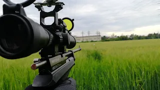 Artemis CP 2 4,5 mm first person shooting with scope