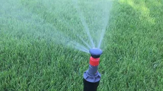 Gardena T100 Pop-Up sprinkler in action