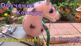 Обучалка конкуру/Как? Что? И где? Расскажу в этом видео