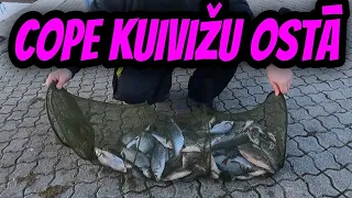 Kā tikt pie vimbu normas neplānojot? Cope Kuivižu ostā. 🐠🐠🐠