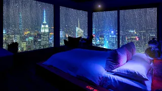 Sleep Fast Immediately with HEAVY RAIN in MANHATTAN ☔ Rain sounds for Sleep, Study and Relaxation