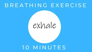How To Stop a Panic Attack | Breathing Exercises for Stress Relief | TAKE A DEEP BREATH