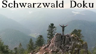 Doku - Wandern im Schwarzwald | Tipps zum Nachmachen! Kochrezept Jägertopf - Pilzsoße | Wanderfalke