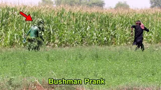 Bushman Prank | Real Funniest Video🤣