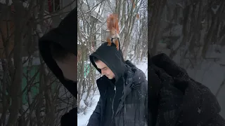 Рич 🐿️ одомашнился настолько, что на улице теперь очень страшно и холодно 🥶😁 #squirrel