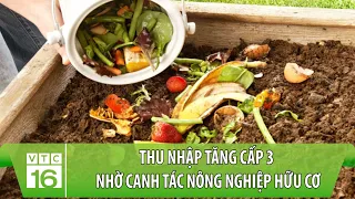 Thu nhập tăng cấp 3 nhờ canh tác nông nghiệp hữu cơ | VTC16