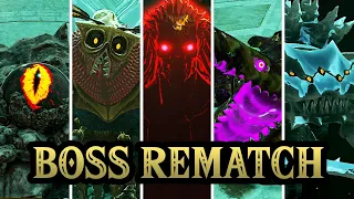 Zelda Tears of the Kingdom - All Major Bosses Rematch In The Depths (HQ)