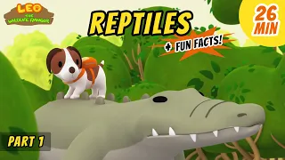 Reptiles (Part 1/2) - Estuarine Crocodile and more animal stories!