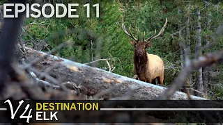 Would Corey Really Pass Up This Bull? EPISODE 11 (Destination Elk V4)