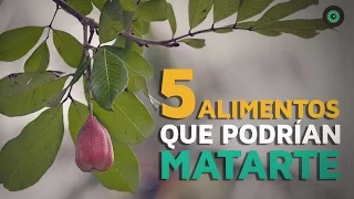 5 Alimentos venenosos que podrían matarte