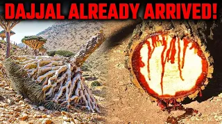 This Island In Yemen Is Showing TERRIFYING Signs Of Dajjal!