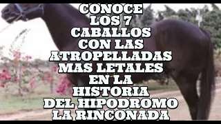 TOP 7 CABALLOS CON LA ATROPELLADA MAS FUERTE  EN LA HISTORIA DEL HIPISMO VENEZOLANO