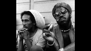 Bob Marley & The Wailers - The Heathen - Demo (Alternate Mix)