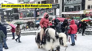 Is it Good or Bad Idea to Visit Manali | Shimla | Kasol in December ?