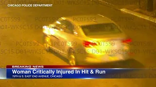 Chicago police release  surveillance images in Avalon Park hit-and-run