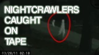 Nightcrawler Creatures Caught on Tape