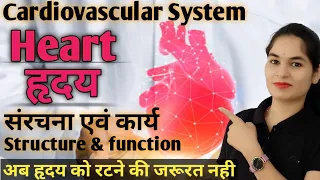 Cardiovascular system in hindi | Heart anatomy & physiology in hindi | Structure of heart
