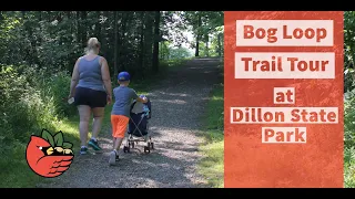 Bog Loop Trail at Dillon State Park