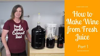 How to Make Wine from Fresh Juice - Part 1