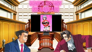 Search History Shenanigans (Objection.lol)
