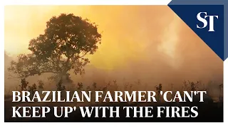 Brazilian farmer 'can't keep up' with the fires