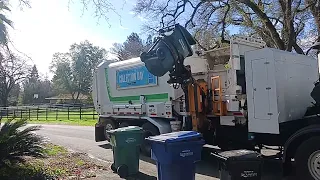 Green waste on the horse route