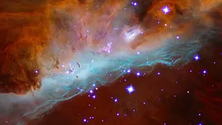 Cosmic Reef Visualization: NGC 2014 & NGC 2020