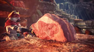 Monster Hunter: World - Level 3 Canteen