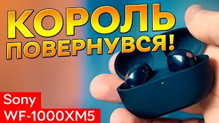 ВОНИ ЗМІНИЛИСЬ! | Огляд TWS-навушників Sony WF-1000XM5