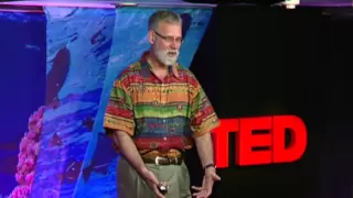 Rob Dunbar: The threat of ocean acidification