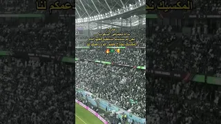 جماهير المنتخب السعودي 2022 #كأس_العالم #السعودية #المنتخب_السعودي #قطر #الجمهور_السعودي#اكسبلور