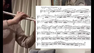 Minuet from L'Arlésienne Suite No. 2 flute sheet music
