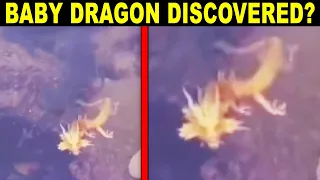 Diver Captured on Camera Something That Shocked the Whole World